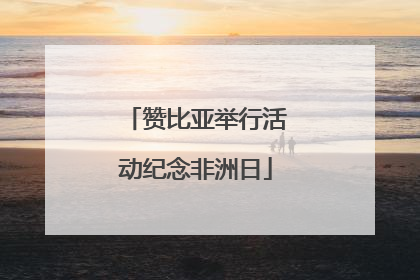 赞比亚举行活动纪念非洲日