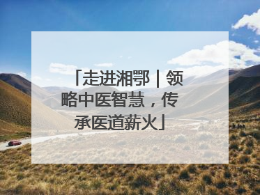走进湘鄂｜领略中医智慧，传承医道薪火