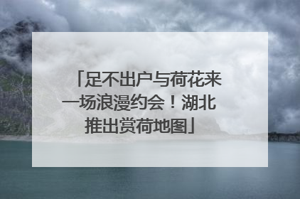 足不出户与荷花来一场浪漫约会！湖北推出赏荷地图