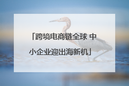 跨境电商链全球 中小企业迎出海新机