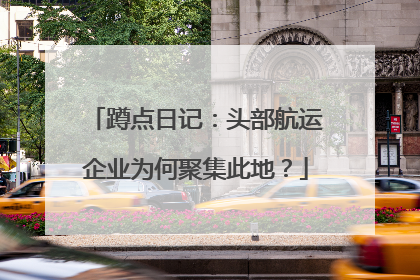 蹲点日记：头部航运企业为何聚集此地？