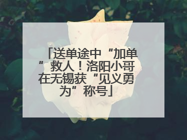 送单途中“加单”救人！洛阳小哥在无锡获“见义勇为”称号