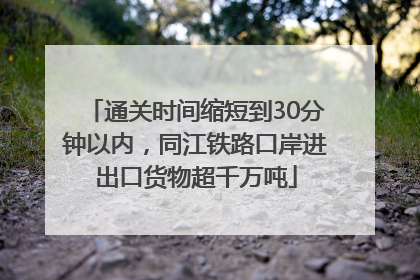 通关时间缩短到30分钟以内，同江铁路口岸进出口货物超千万吨