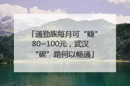 通勤族每月可“赚”80~100元，武汉“碳”路何以畅通