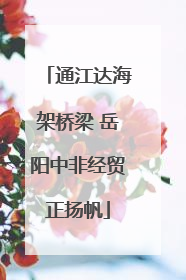 通江达海架桥梁 岳阳中非经贸正扬帆