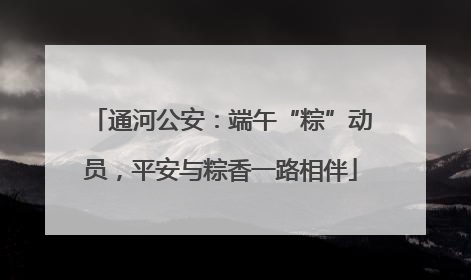 通河公安：端午“粽”动员，平安与粽香一路相伴