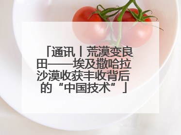 通讯丨荒漠变良田——埃及撒哈拉沙漠收获丰收背后的“中国技术”