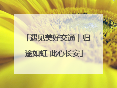 遇见美好交通｜归途如虹 此心长安