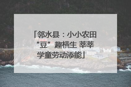 邻水县：小小农田“豆”趣横生 莘莘学童劳动添能