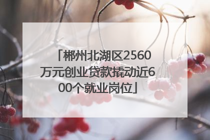 郴州北湖区2560万元创业贷款撬动近600个就业岗位