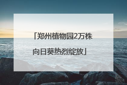 郑州植物园2万株向日葵热烈绽放
