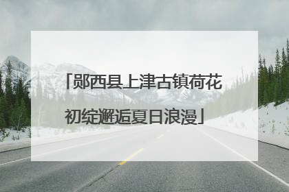 郧西县上津古镇荷花初绽邂逅夏日浪漫