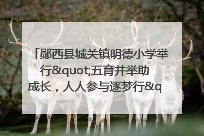 郧西县城关镇明德小学举行"五育并举助成长，人人参与逐梦行"庆六一活动