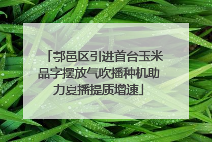 鄠邑区引进首台玉米品字摆放气吹播种机助力夏播提质增速