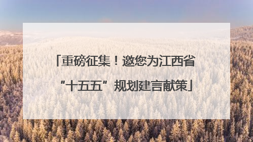 重磅征集！邀您为江西省“十五五”规划建言献策