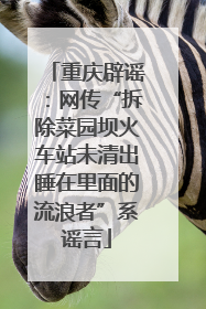 重庆辟谣：网传“拆除菜园坝火车站未清出睡在里面的流浪者”系谣言