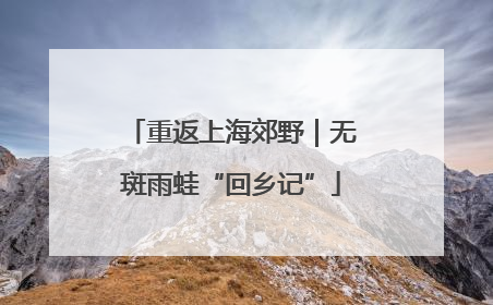 重返上海郊野｜无斑雨蛙“回乡记”