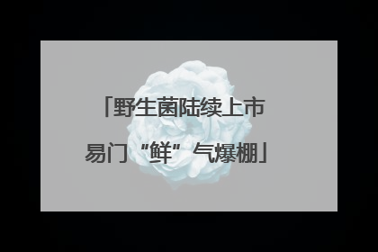 野生菌陆续上市 易门“鲜”气爆棚