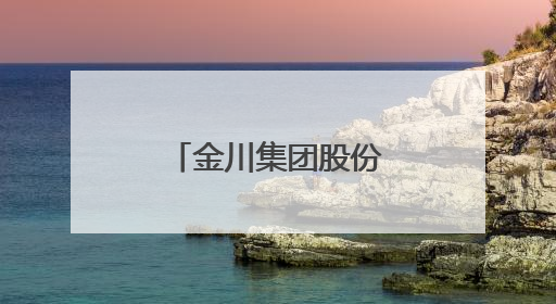 金川集团股份有限公司第十次党代会开幕