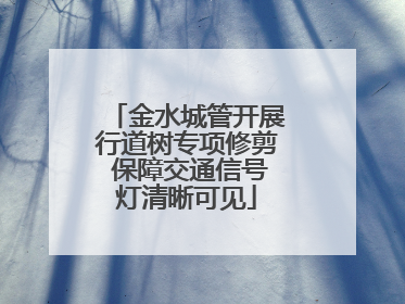 金水城管开展行道树专项修剪 保障交通信号灯清晰可见
