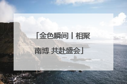 金色瞬间丨相聚南博 共赴盛会