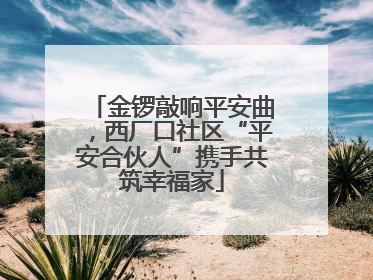 金锣敲响平安曲，西厂口社区“平安合伙人”携手共筑幸福家