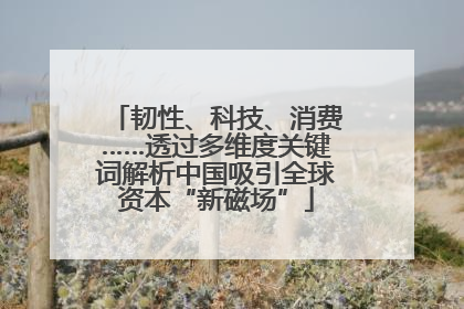 韧性、科技、消费……透过多维度关键词解析中国吸引全球资本“新磁场”