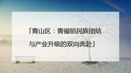 青山区：青福镇民族团结与产业升级的双向奔赴