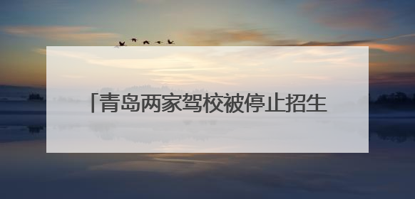 青岛两家驾校被停止招生 市民学车请擦亮眼睛