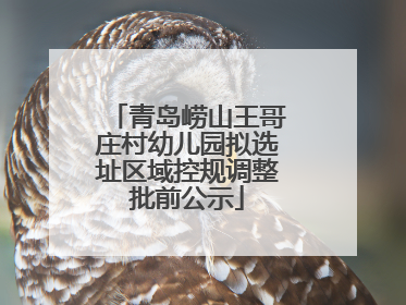 青岛崂山王哥庄村幼儿园拟选址区域控规调整批前公示