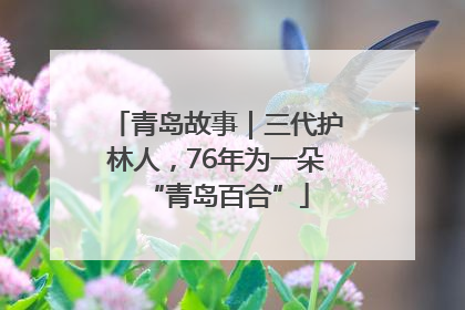 青岛故事｜三代护林人，76年为一朵“青岛百合”