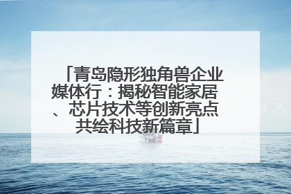 青岛隐形独角兽企业媒体行：揭秘智能家居、芯片技术等创新亮点 共绘科技新篇章