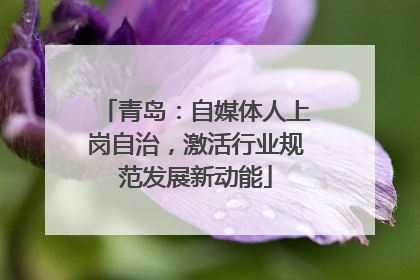 青岛：自媒体人上岗自治，激活行业规范发展新动能