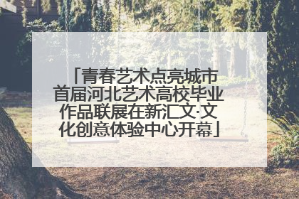 青春艺术点亮城市 首届河北艺术高校毕业作品联展在新汇文·文化创意体验中心开幕