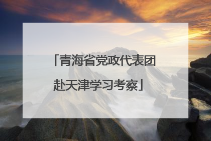 青海省党政代表团赴天津学习考察