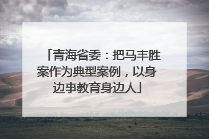 青海省委：把马丰胜案作为典型案例，以身边事教育身边人