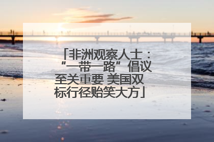 非洲观察人士：“一带一路”倡议至关重要 美国双标行径贻笑大方