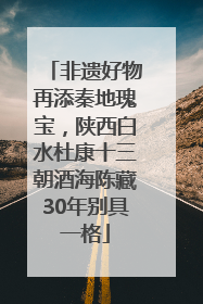 非遗好物再添秦地瑰宝，陕西白水杜康十三朝酒海陈藏30年别具一格