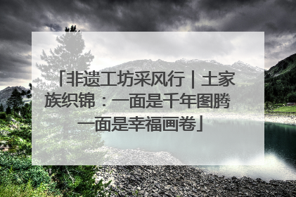 非遗工坊采风行｜土家族织锦：一面是千年图腾 一面是幸福画卷