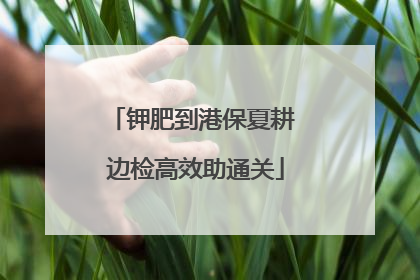 钾肥到港保夏耕 边检高效助通关