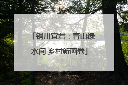 铜川宜君：青山绿水间 乡村新画卷