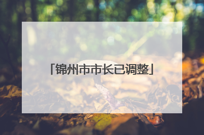 锦州市市长已调整