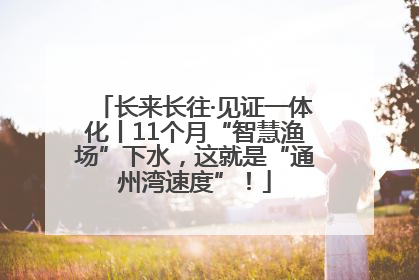长来长往·见证一体化丨11个月“智慧渔场”下水，这就是“通州湾速度”！