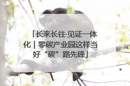 长来长往·见证一体化｜零碳产业园这样当好“碳”路先锋