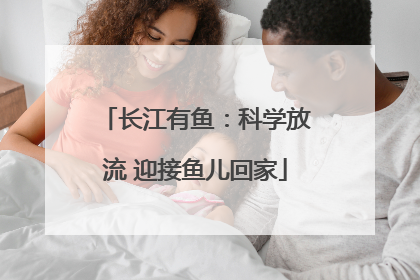 长江有鱼：科学放流 迎接鱼儿回家
