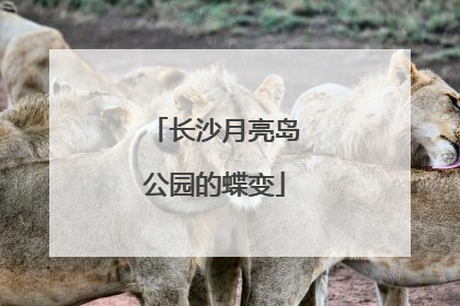 长沙月亮岛公园的蝶变