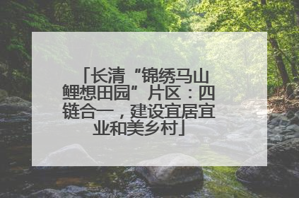 长清“锦绣马山 鲤想田园”片区：四链合一，建设宜居宜业和美乡村