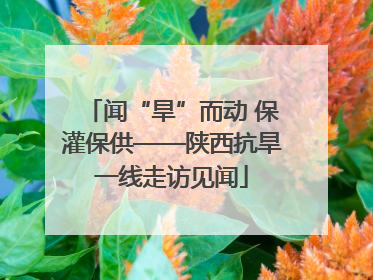 闻“旱”而动 保灌保供——陕西抗旱一线走访见闻