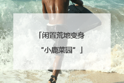 闲置荒地变身“小鹿菜园”