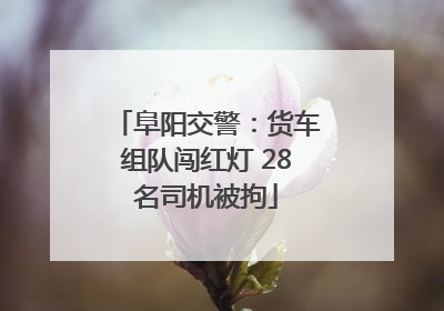 阜阳交警：货车组队闯红灯 28名司机被拘